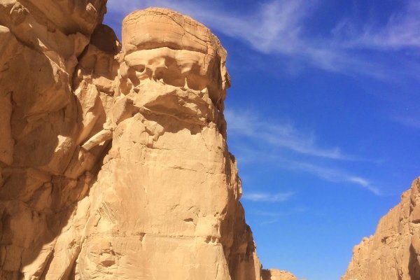 Как зайти на кракен в тор браузере