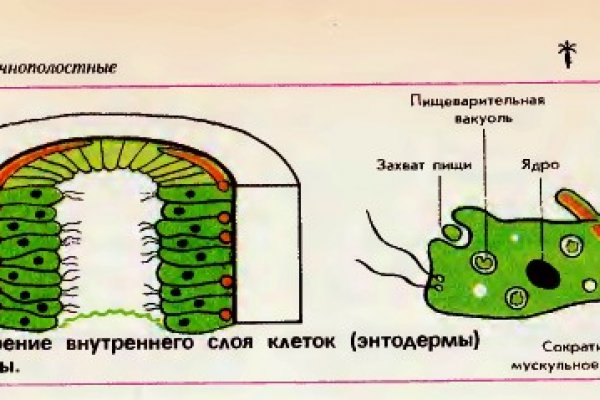 Кракен войти