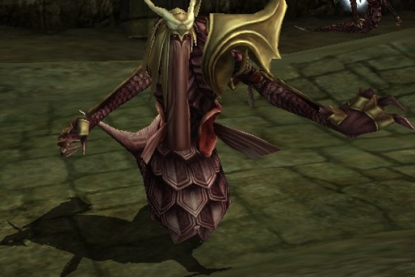 Kraken biz